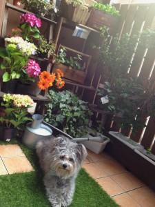 947087_419712028143927_500920310_n