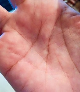 12243027_927735934008198_1995093173792951140_n